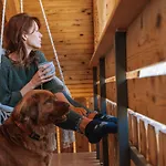 Apartmaji Triglav 3* Bohinj