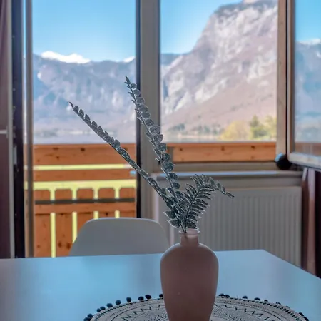 Apartmaji Triglav 보히니