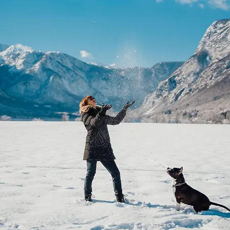 Aparthotel Apartmaji Triglav