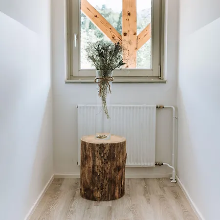 Apartmaji Triglav