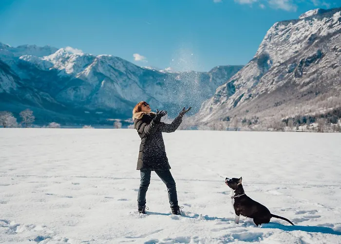 Ξενοδοχείο με διαμερίσματα Apartmaji Triglav